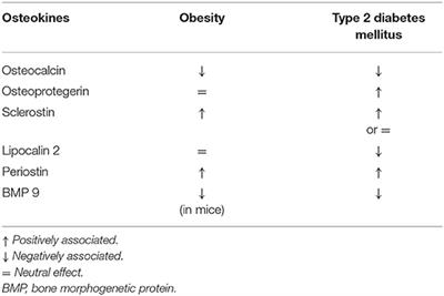 The Interplay Between Bone and Glucose Metabolism